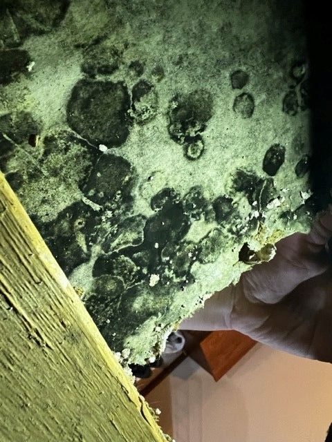 Real Wichita case study: hidden dangers! during a Vortex mold inspection