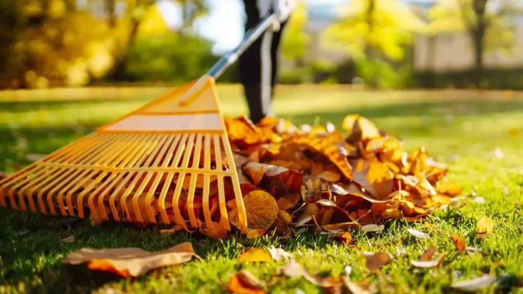 Autumn home scene illustrating the importance of clean indoor air and duct cleaning before winter