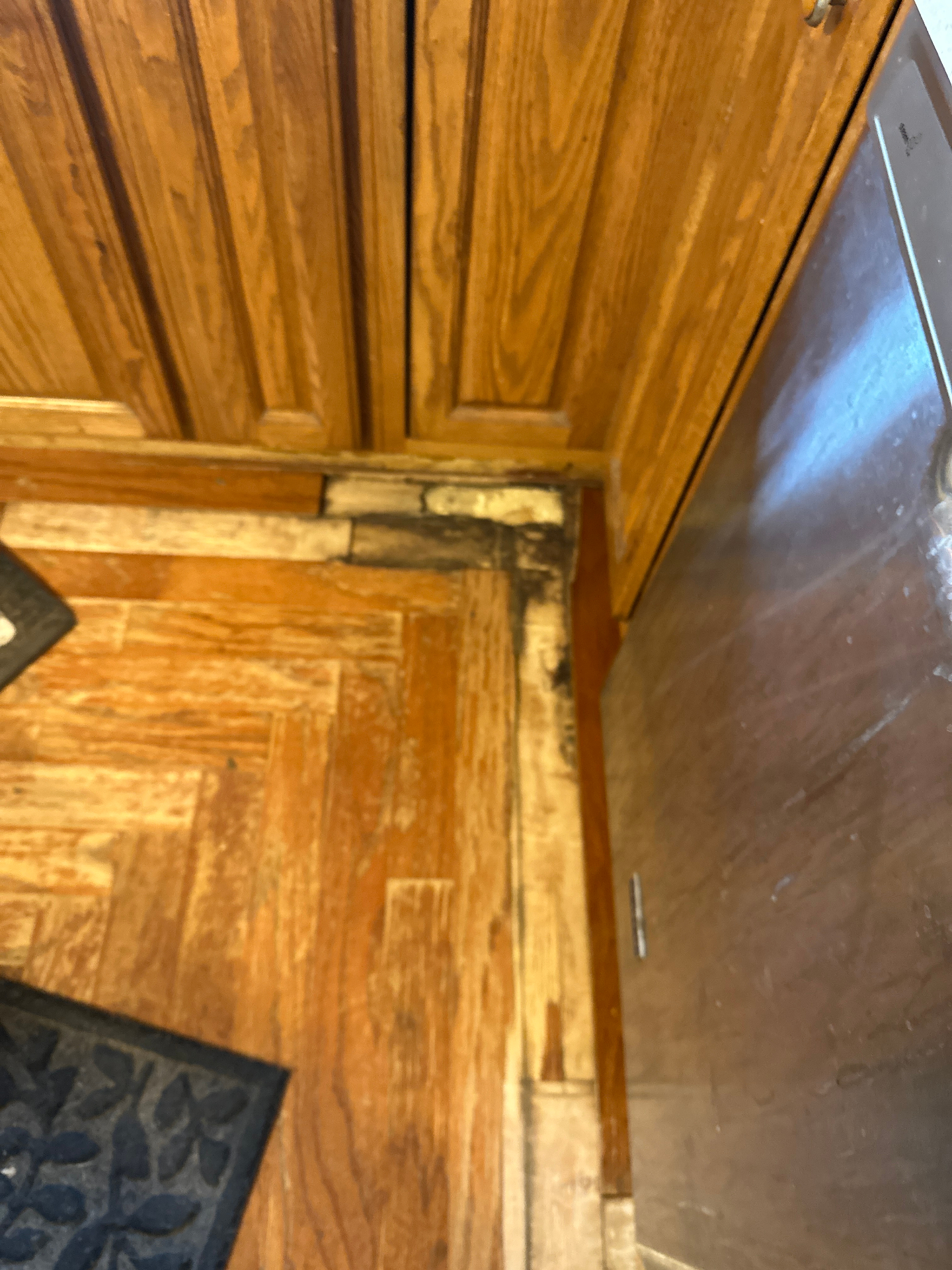 Black mold damage at base of kitchen cabinets and hardwood floor