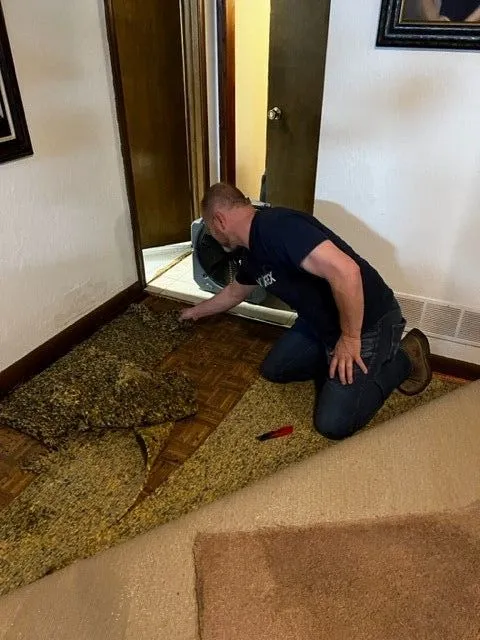 Basement Flood