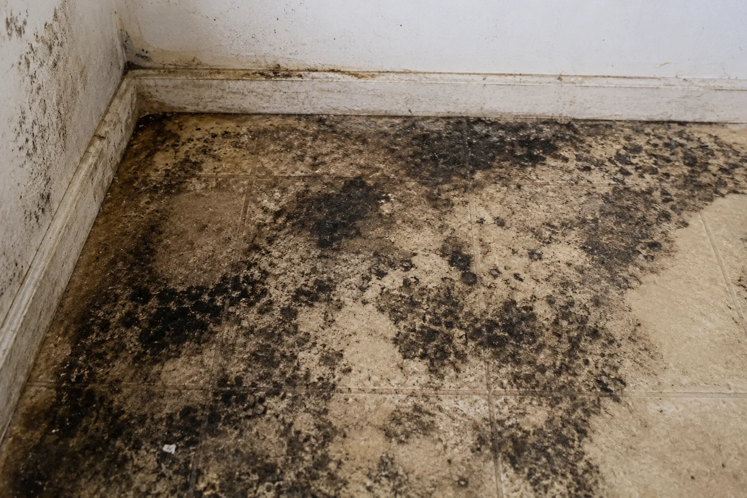 Floor and baseboards covered in extensive black mold growth before Vortex remediation